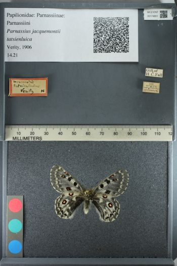 Media type: image;   Entomology 174801